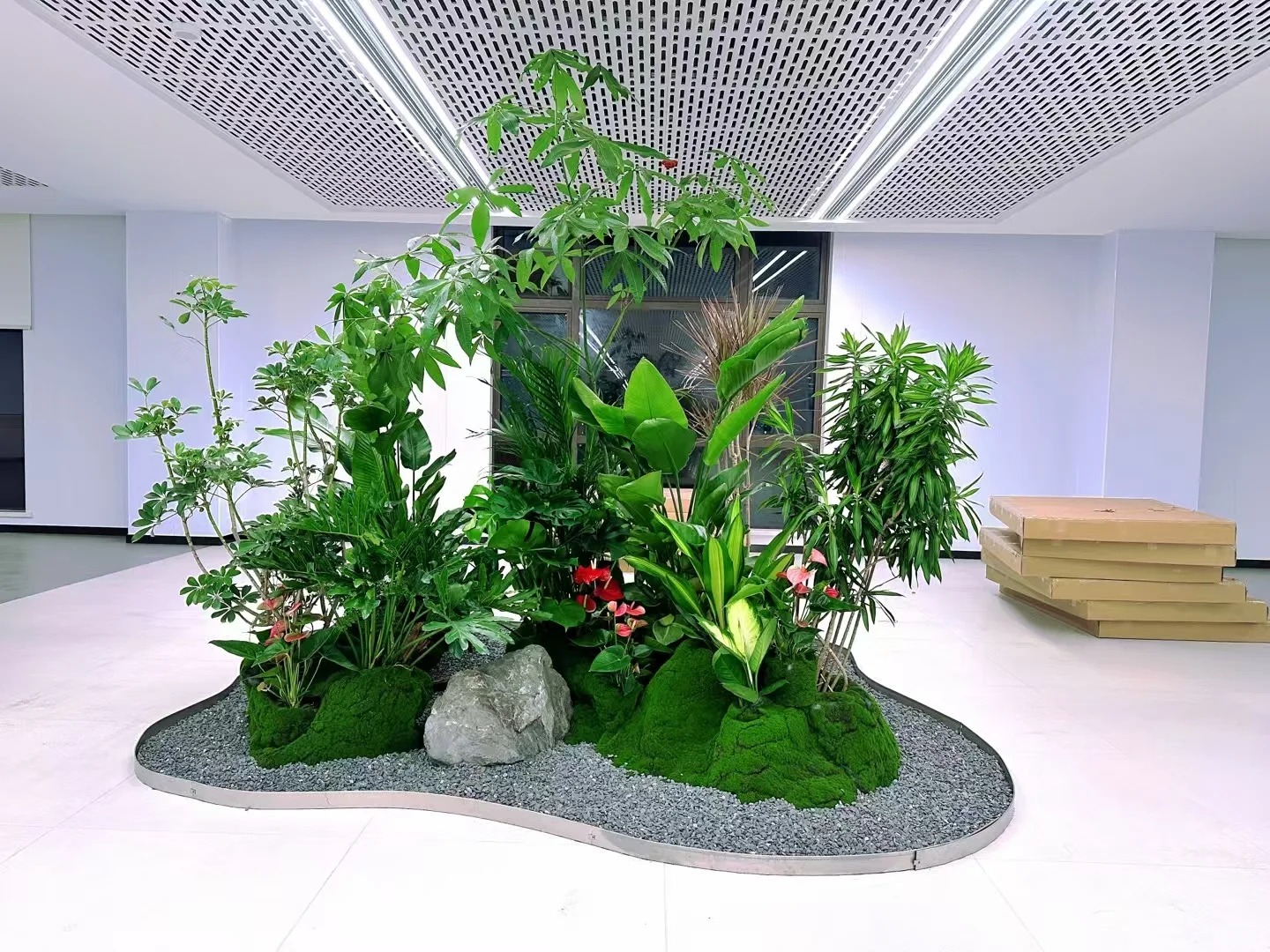 专业花木出租在慈溪，营造独特氛围