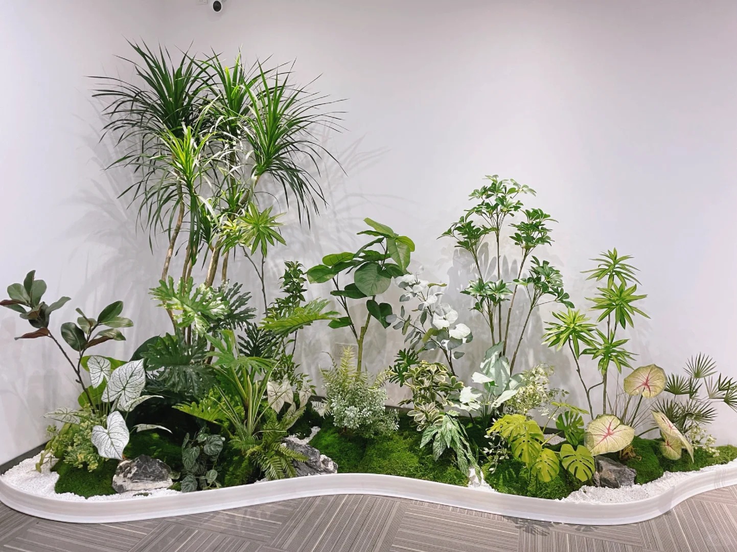 了解海曙植物租摆价格，开启绿色生活低成本新体验